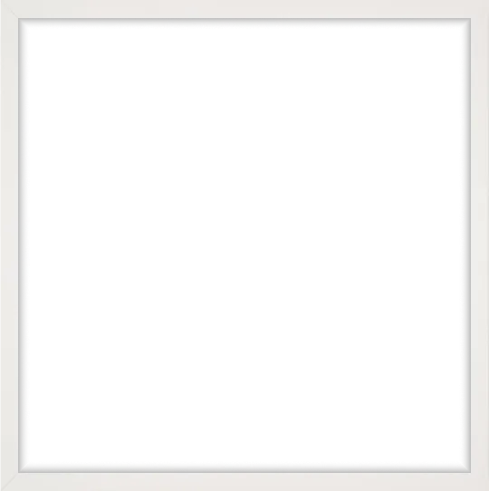 frame